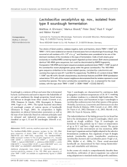 Lactobacillus secaliphilus sp. nov., isolated from type II sourdough