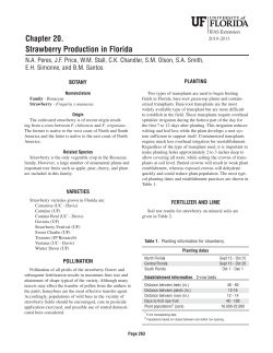 Chapter 20 - University of Florida