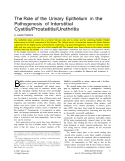 The Role of the Urinary Epithelium in the