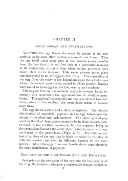 Polar bodies and fertilization