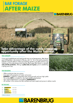 BarForage After Maize 2012