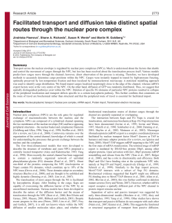 Facilitated transport and diffusion take distinct spatial routes through
