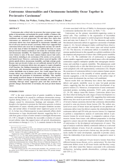 Centrosome Abnormalities and Chromosome