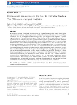 Chronostatic adaptations in the liver to restricted feeding: The FEO