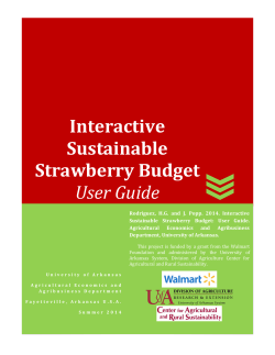 Interactive Sustainable Strawberry Budget