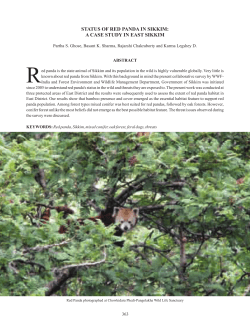 Status of Red Panda in Sikkim: A Case Study in