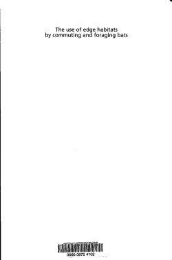 The use of edge habitats by commuting and foraging bats