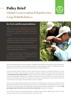 Policy Brief