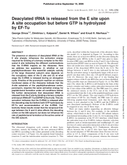 Deacylated tRNA is released from the E site upon A site occupation