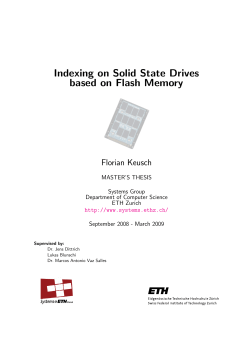 Indexing on Solid State Drives based on Flash Memory