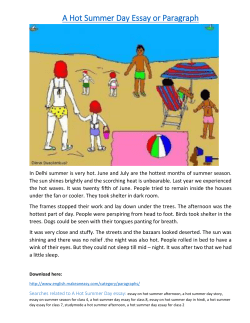 A Hot Summer Day Essay or Paragraph