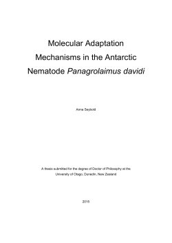 Molecular Adaptation Mechanisms in the Antarctic