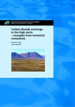 PhD thesis, 2006