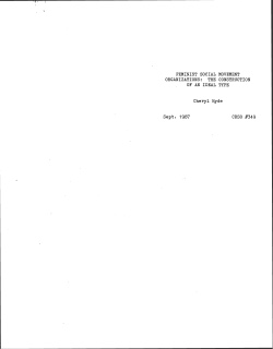 FEMINIST SOCIAL MOVEMENT ORGANIZATIONS: THE