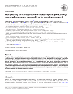 Manipulating photorespiration to increase plant productivity: recent