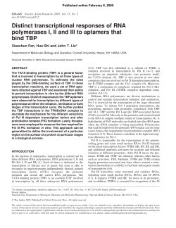 Distinct transcriptional responses of RNA polymerases I, II and III to