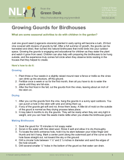 Growing Gourds for Birdhouses