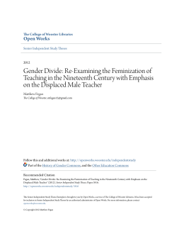 Gender Divide: Re-Examining the Feminization of