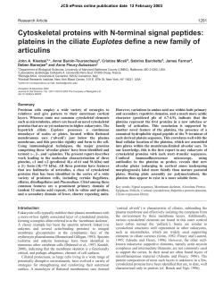 Cytoskeletal proteins with N-terminal signal peptides