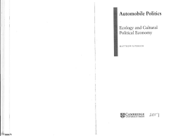 Automobile Politics - Tufts Self