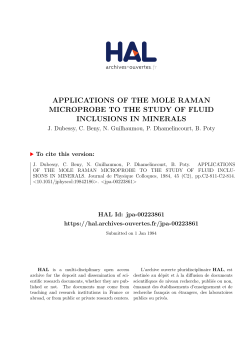 applications of the mole raman microprobe to the study of fluid