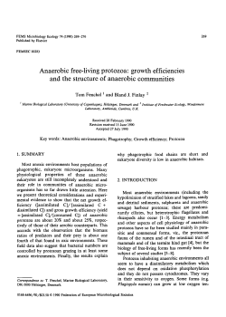 Anaerobic freeliving protozoa: growth efficiencies and the structure