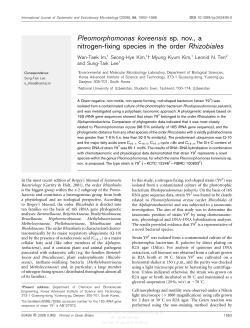 Pleomorphomonas koreensis sp. nov., a nitrogen