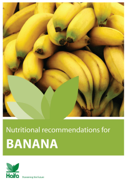 Banana - Haifa