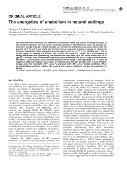 The energetics of anabolism in natural settings