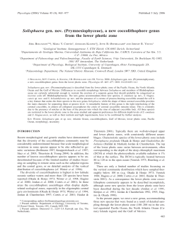 a new coccolithophore genus from the lower photic zone