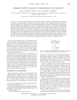 Mapping Disulfide Connectivity Using Backbone Ester Hydrolysis