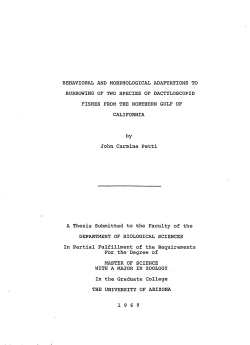 BEHAVIORAL AND MORPHOLOGICAL ADAPTATIONS TO