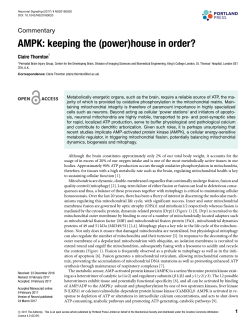 AMPK: keeping the (power)house in order?