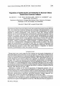 Degradation of Epichlorohydrin and Halohydrins by