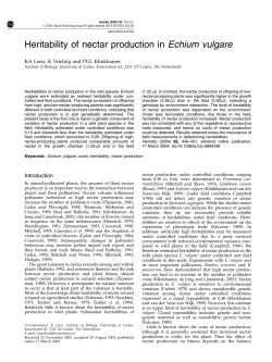 Heritability of nectar production in Echium vulgare