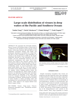 Large-scale distribution of viruses in deep waters of the Pacific and