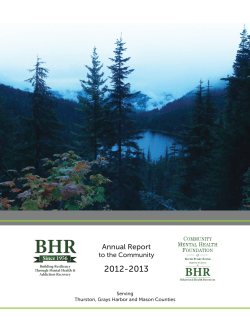 Financial Report 2012-13 - Behavioral Health Resources