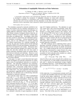 Orientation of Amphiphilic Molecules on Polar Substrates