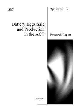 Battery Eggs Sale and Production
