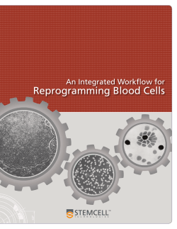 Reprogramming Blood Cells