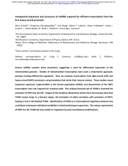 Unexpected sequences and structures of mtDNA required