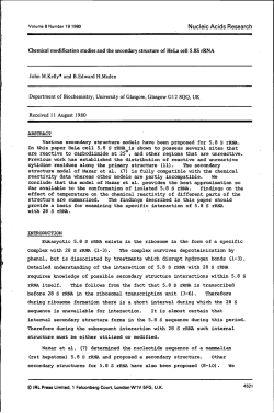 Chemical modification studies and the secondary structure of HeLa