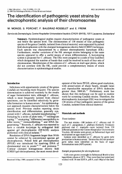 The identification of pathogenic yeast strains by electrophoretic