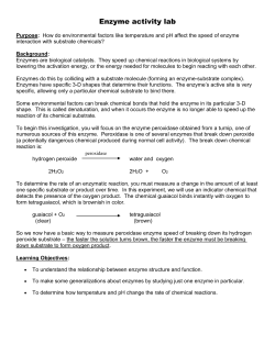 Enzyme activity lab