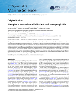 Microplastic interactions with North Atlantic mesopelagic fish