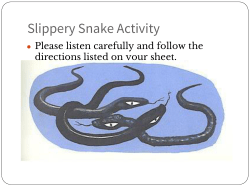 Slippery Snake Activity