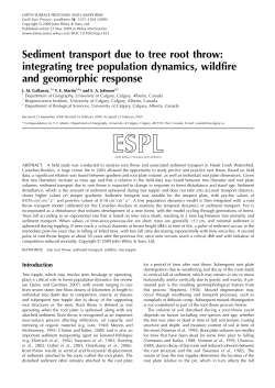 Sediment transport due to tree root throw: integrating tree population