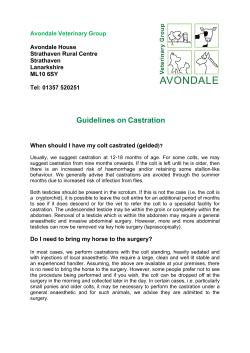 Guidelines on Castration