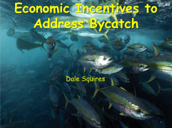 Address Bycatch - Towards ecosystem
