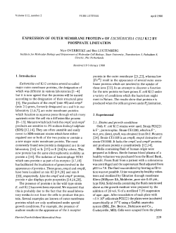 EXPRESSION OF OUTER MEMBRANE PROTEIN e OF